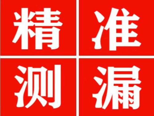 盐亭尚嘉漏水精准查找